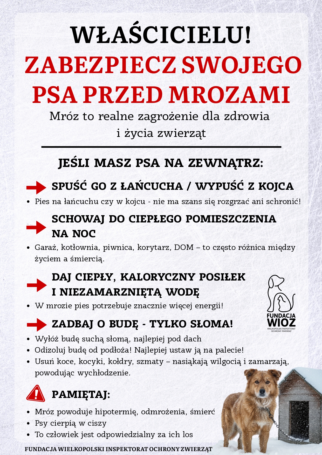 W�a�cicielu, zabezpiecz swojego psa przed mrozami!
